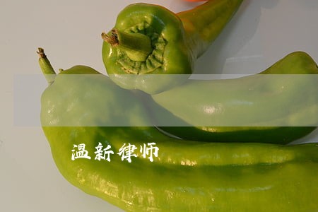温新律师 温新律师