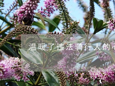 温暖了违法骑行人的心