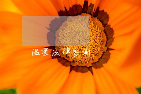 温暖法律咨询 温暖法律咨询
