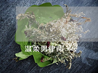 温柔男律师 温柔男律师