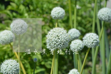 温水煮青蛙刑法 温水煮青蛙刑法