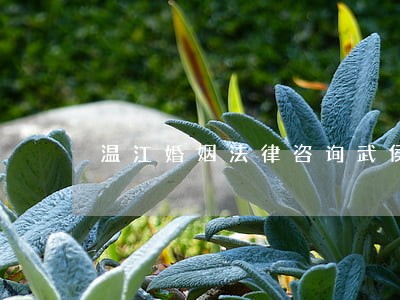 温江婚姻法律咨询武侯区
