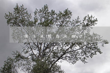 温江法院拍卖房产
