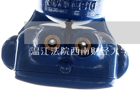 温江法院西南财经大学