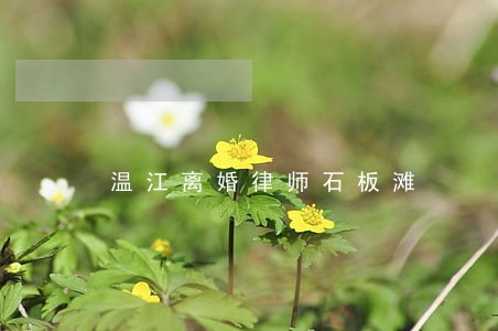 温江离婚律师石板滩 温江离婚律师石板滩