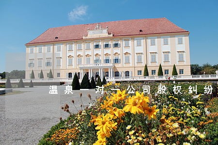 温泉一对一公司股权纠纷律师 温泉一对一公司股权纠纷律师