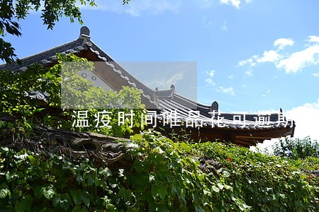 温疫时间唯品花可逾期吗 温疫时间唯品花可逾期吗