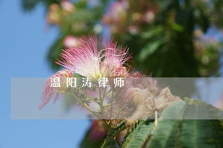 温阳涛律师 温阳涛律师