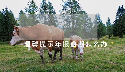 温馨提示年报逾期怎么办 温馨提示年报逾期怎么办