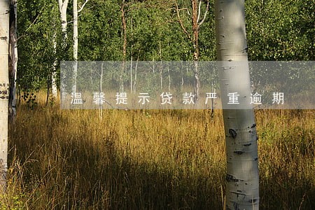 温馨提示贷款严重逾期 温馨提示贷款严重逾期