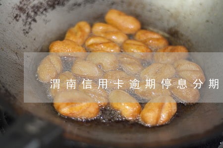 渭南信用卡逾期停息分期申请条件 渭南信用卡逾期停息分期申请条件