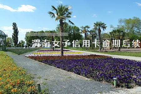 渭南女子信用卡逾期后续 渭南女子信用卡逾期后续