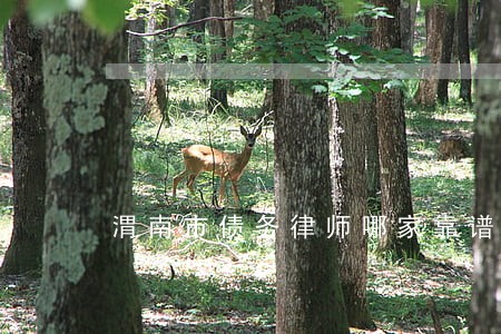 渭南市债务律师哪家靠谱 渭南市债务律师哪家靠谱