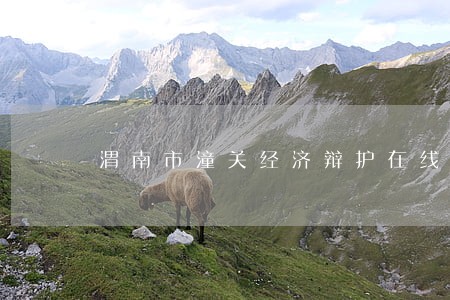 渭南市潼关经济辩护在线律师 渭南市潼关经济辩护在线律师