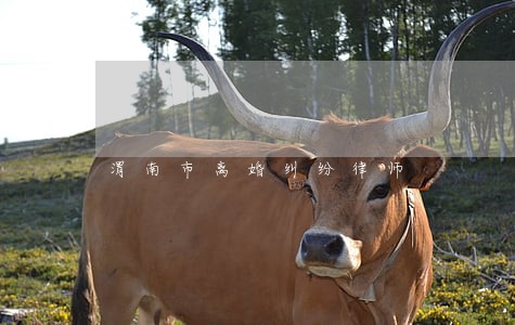 渭南市离婚纠纷律师 渭南市离婚纠纷律师