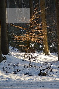 渭南市第二医院法律风险查询 渭南市第二医院法律风险查询