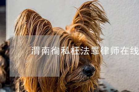 渭南徇私枉法罪律师在线咨询 渭南徇私枉法罪律师在线咨询