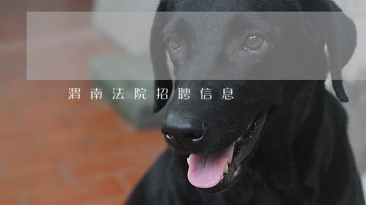渭南法院招聘信息 渭南法院招聘信息