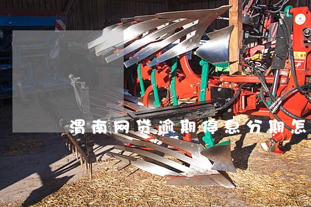 渭南网贷逾期停息分期怎么协商 渭南网贷逾期停息分期怎么协商