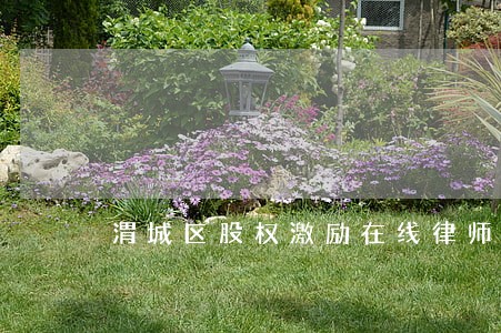 渭城区股权激励在线律师