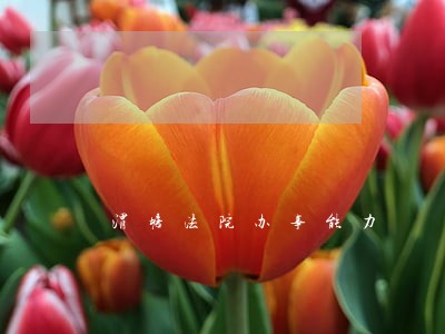 渭塘法院办事能力 渭塘法院办事能力