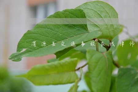 渭源县交通事故在线律师咨询 渭源县交通事故在线律师咨询