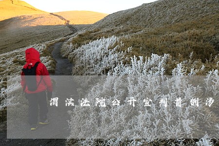 渭滨法院公开宣判首例涉恶案件 渭滨法院公开宣判首例涉恶案件