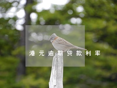 港元逾期贷款利率 港元逾期贷款利率