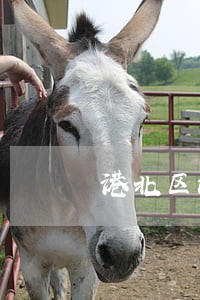 港北区法律援助中心地址 港北区法律援助中心地址