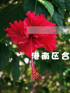 港南区合同纠纷在线律师 港南区合同纠纷在线律师