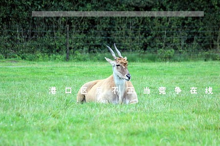 港口区反不正当竞争在线律师 港口区反不正当竞争在线律师