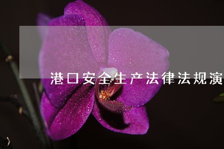 港口安全生产法律法规演示文稿 港口安全生产法律法规演示文稿