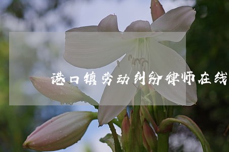 港口镇劳动纠纷律师在线免费咨询 港口镇劳动纠纷律师在线免费咨询