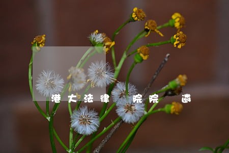 港大法律學院院長遴選撻q