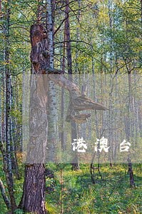 港澳台人士信用卡逾期影响 港澳台人士信用卡逾期影响