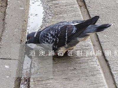 港澳通行证时间逾期回大陆 港澳通行证时间逾期回大陆