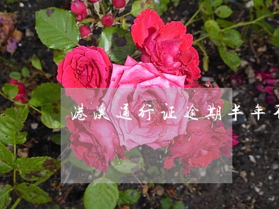 港澳通行证逾期半年不回怎么处罚 港澳通行证逾期半年不回怎么处罚