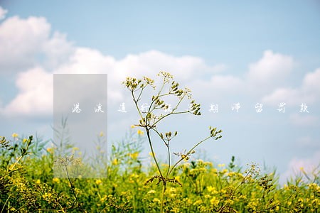 港澳通行证逾期滞留罚款吗 港澳通行证逾期滞留罚款吗