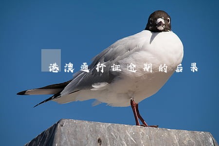 港澳通行证逾期的后果 港澳通行证逾期的后果
