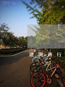 港澳通行证逾期逗留办理程序 港澳通行证逾期逗留办理程序