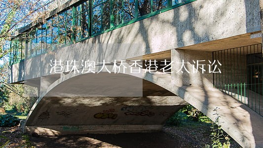 港珠澳大桥香港老太诉讼 港珠澳大桥香港老太诉讼