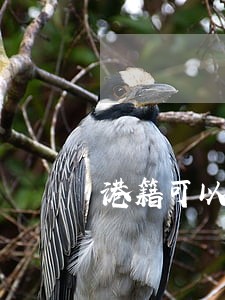 港籍可以考司法考试吗 港籍可以考司法考试吗