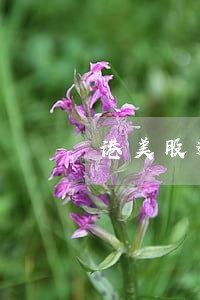 港美股逾期交收利息 港美股逾期交收利息