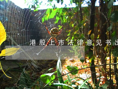 港股上市法律意见书出具 港股上市法律意见书出具
