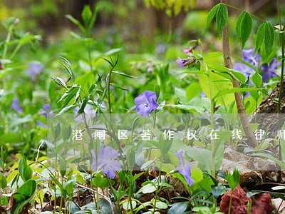港闸区著作权在线律师 港闸区著作权在线律师