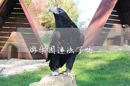 游乐园违法了吗 游乐园违法了吗