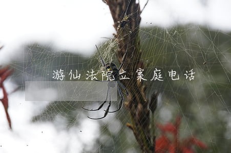 游仙法院立案庭电话 游仙法院立案庭电话