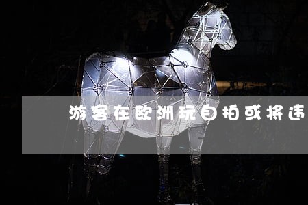 游客在欧洲玩自拍或将违法 游客在欧洲玩自拍或将违法