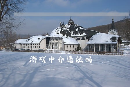 游戏中介违法吗