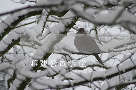 游戏公司诉讼 游戏公司诉讼